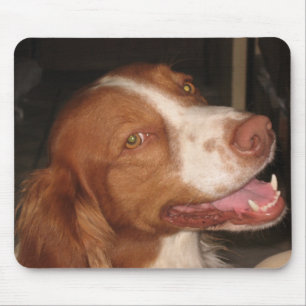 Mousepad Spaniel de Brittany de sorriso