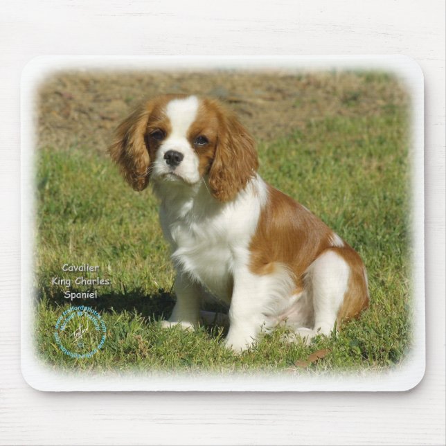 Mousepad Spaniel de rei Charles descuidado (Frente)
