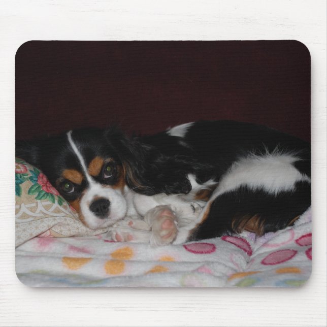 Mousepad Spaniel de rei Charles descuidado (Frente)