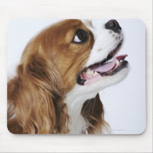 Mousepad Spaniel de rei Charles descuidado, vista lateral