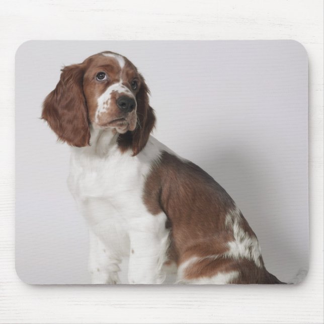 Mousepad Spaniel de Springer (Frente)