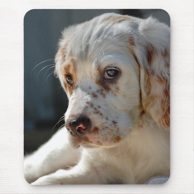 Mousepad Spaniel Puppy Dog (Frente)