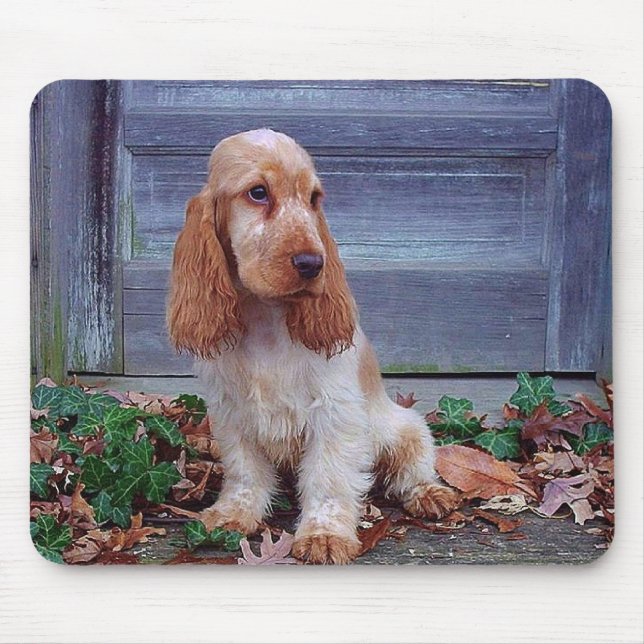 Mousepad Spaniels de Cocker ingleses (Frente)