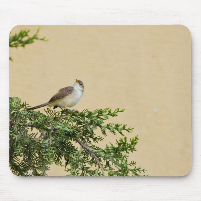 Mousepad Sparrow (Frente)