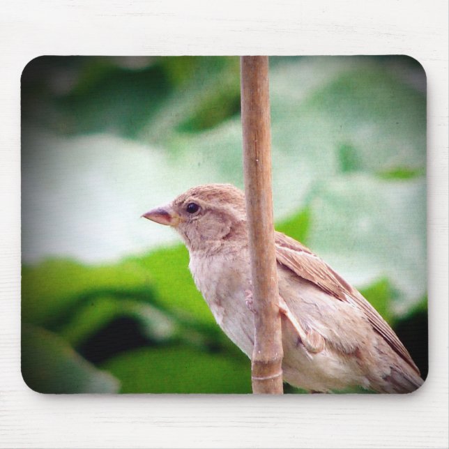 Mousepad Sparrow (Frente)