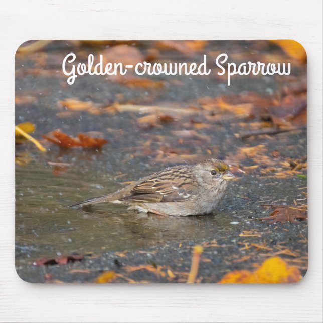 Mousepad Sparrow com ouro (Frente)