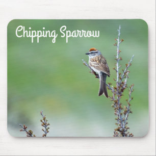 Mousepad Sparrow de chipset