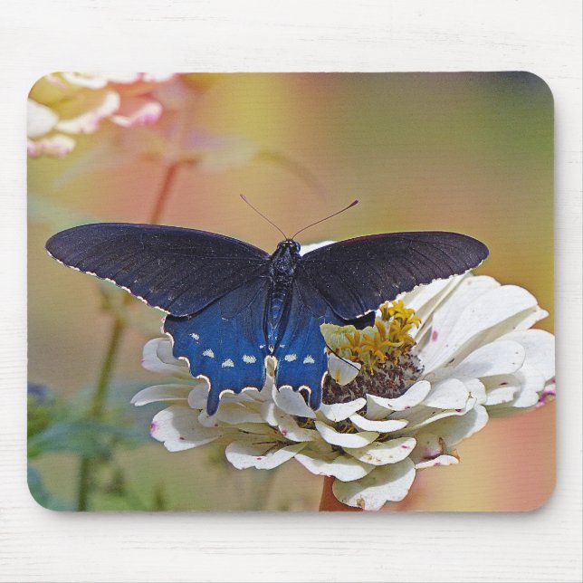 Mousepad Spicebush Swallowtail (Frente)