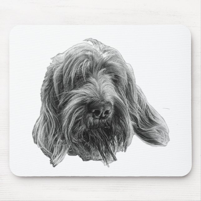 Mousepad Spinone Trabalho Prado (Frente)