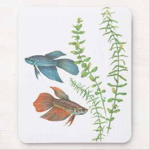 Mousepad Splendens de Betta e branco indica de Rotala