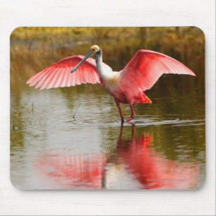 Mousepad Spoonbill