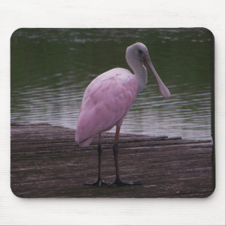 Mousepad Spoonbill róseo