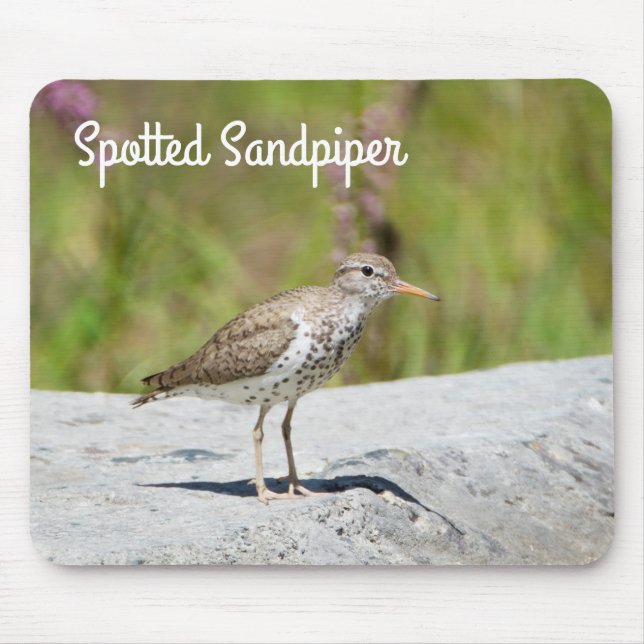 Mousepad Spotted Sandpiper (Frente)