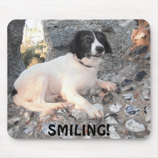 Mousepad Sprollie Visitando Castle Smiling (Frente)