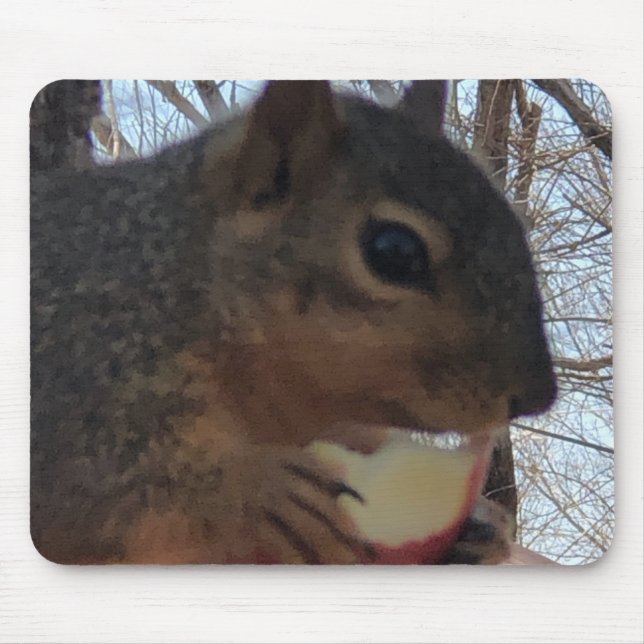Mousepad Squirrel  (Frente)