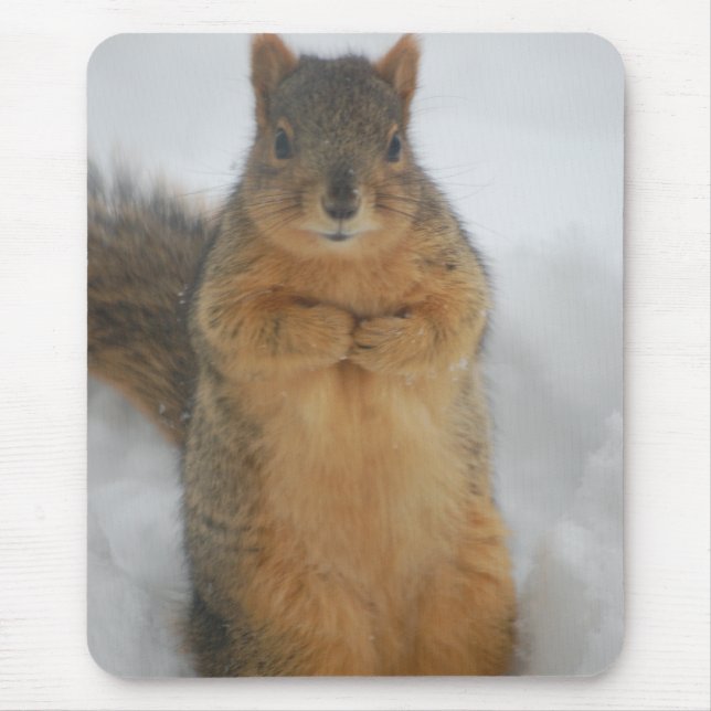 Mousepad Squirrel Love (Frente)