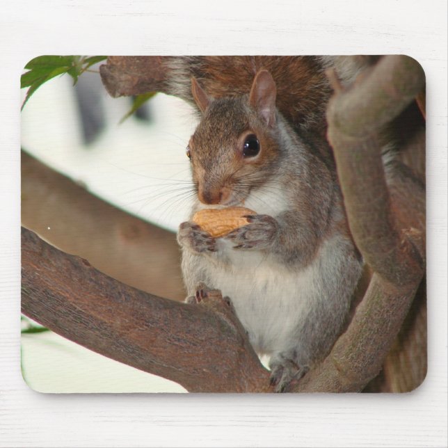 Mousepad squirrelfriend (Frente)