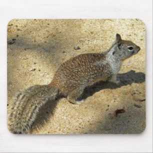 Mousepad Squirrell