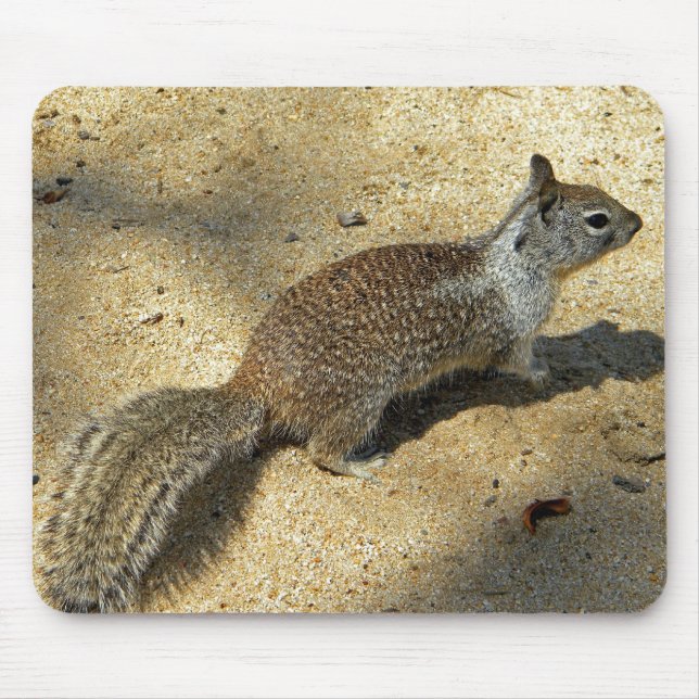 Mousepad Squirrell (Frente)