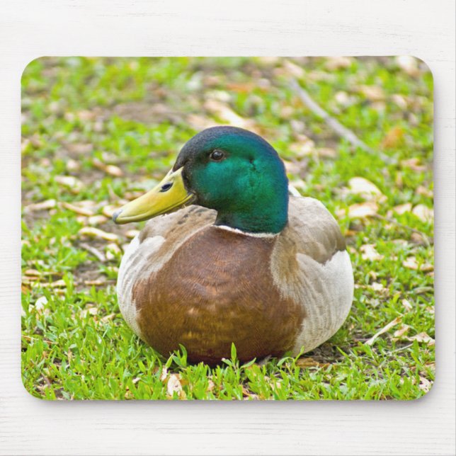 Mousepad Sr. Mallard, o Pato (Frente)