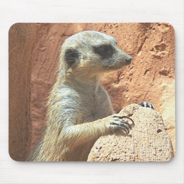 Mousepad Sr. Meerkat (Frente)
