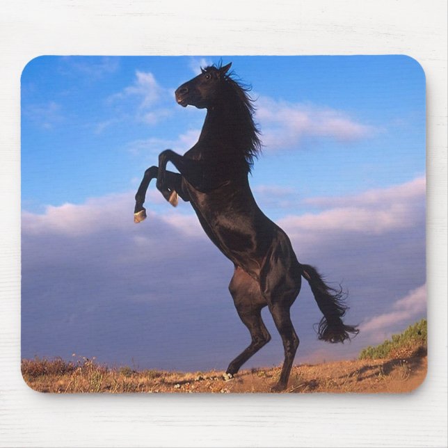 Mousepad Stallion Negro (Frente)