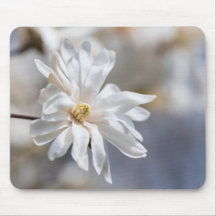 Mousepad Star Magnolia Bloom