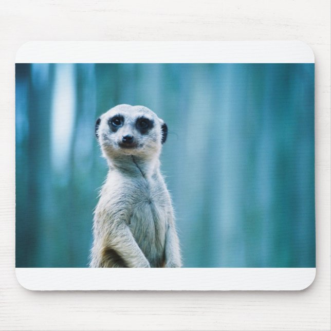Mousepad Staredown de Meerkat (Frente)