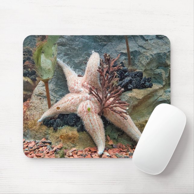 Mousepad Starfish Na Planta Aquática (Com mouse)