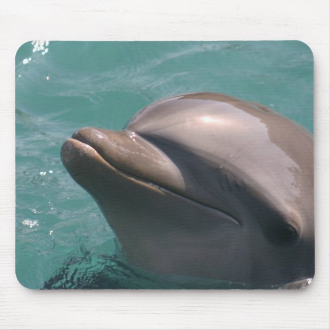 Mousepad Starring um tapete do rato do golfinho (Frente)