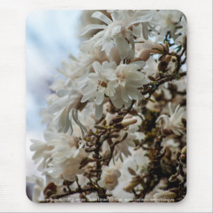 Mousepad Starry Magnolia 5781