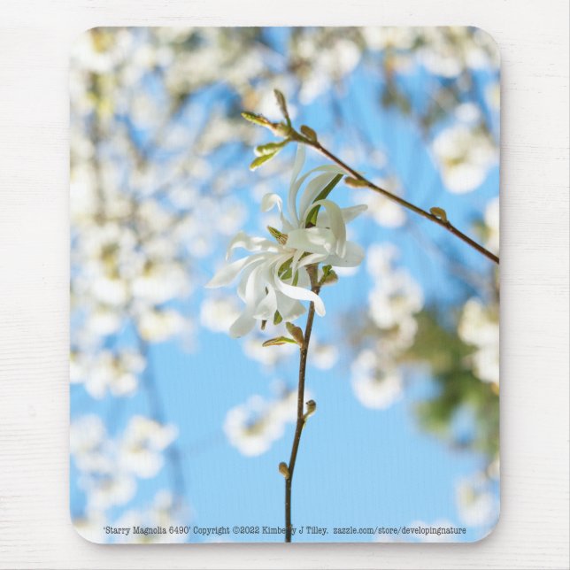Mousepad Starry Magnolia 6490 (Frente)
