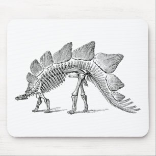 Mousepad Stegossauro Dinossauro Esqueleto Fóssil