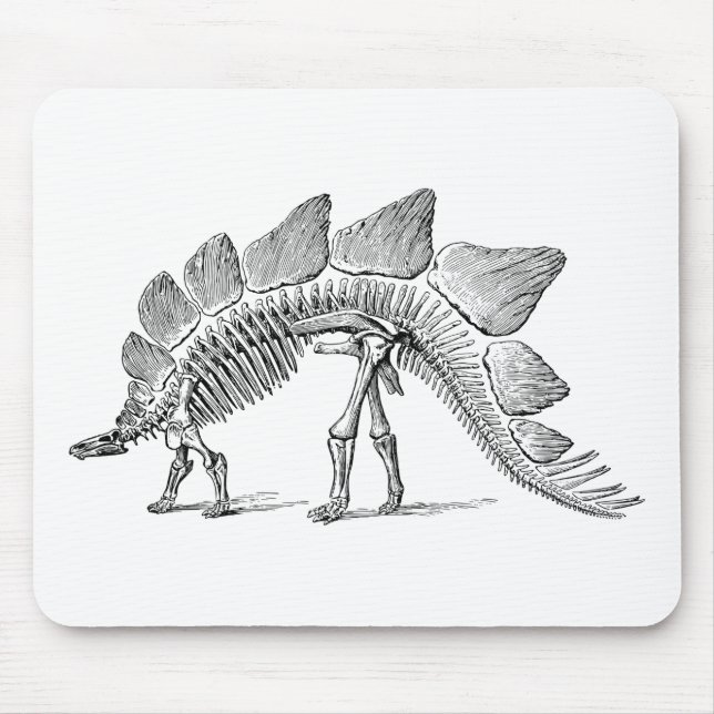 Mousepad Stegossauro Dinossauro Esqueleto Fóssil (Frente)