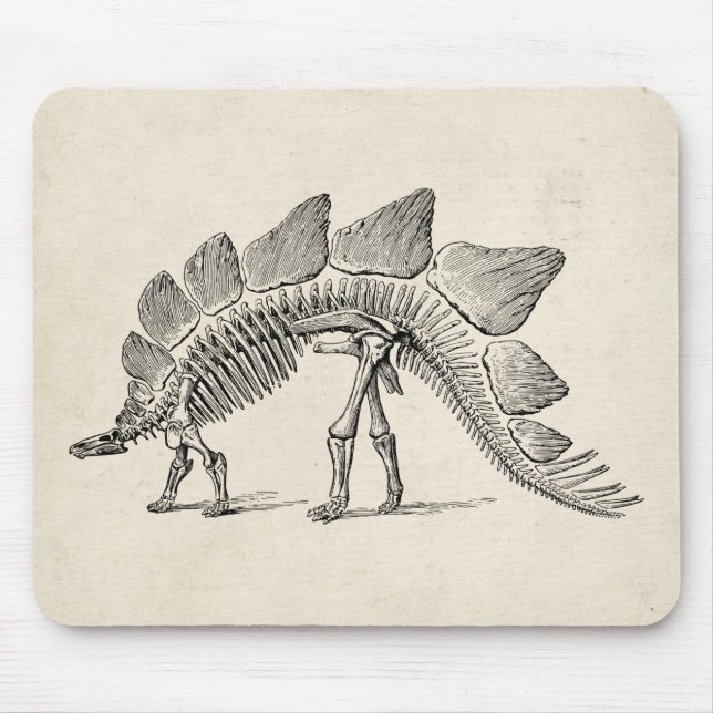 Mousepad Stegossauro Dinossauro Esqueleto Fóssil (Frente)