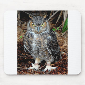 Mousepad Stern Owl