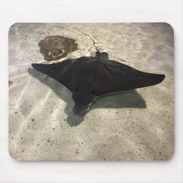 Mousepad Stingray (Frente)