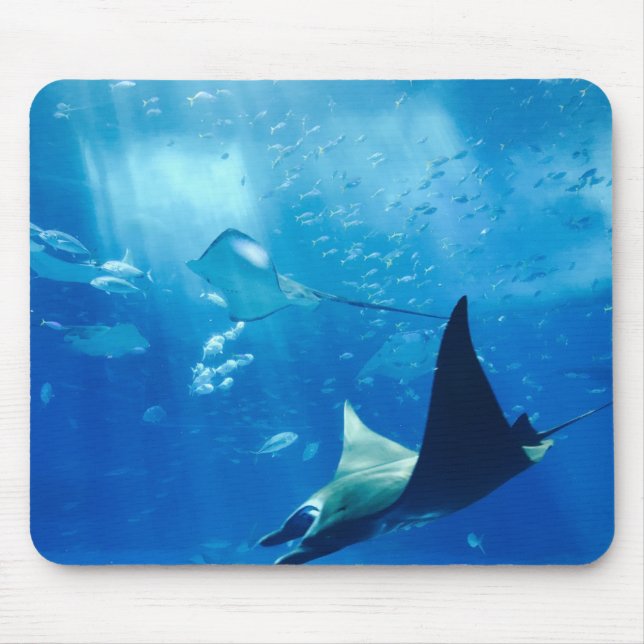 Mousepad Stingrays Underwater (Frente)