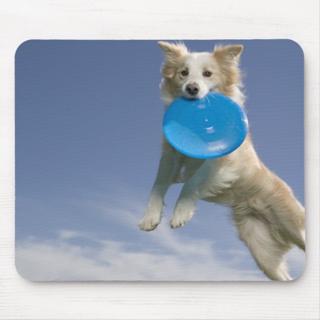Mousepad Stockton, Califórnia, EUA (Frente)