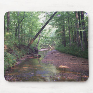 Mousepad Streambed