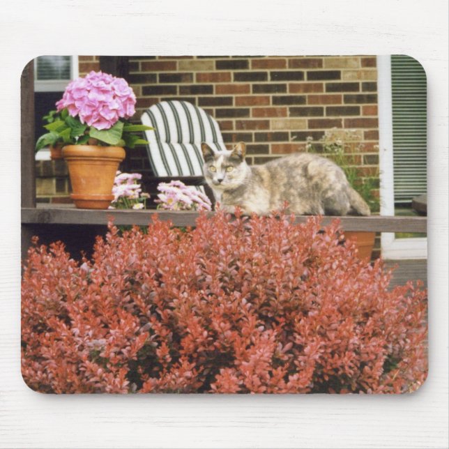 Mousepad Strinka (Frente)