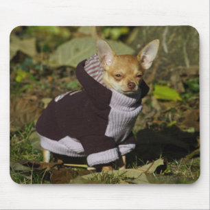 Mousepad Stylish Chihuahua