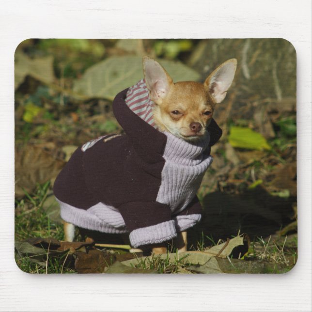 Mousepad Stylish Chihuahua (Frente)
