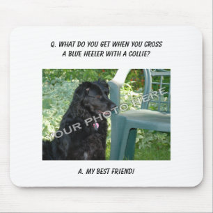 Mousepad Sua foto aqui! Minha mistura azul de Heeler do