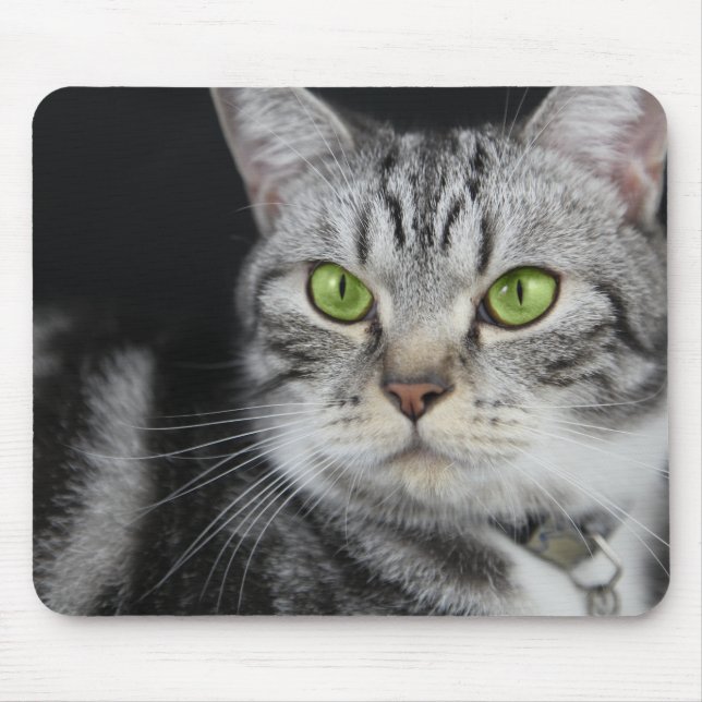 Mousepad Sua Foto de Gato Doce Personalizada (Frente)