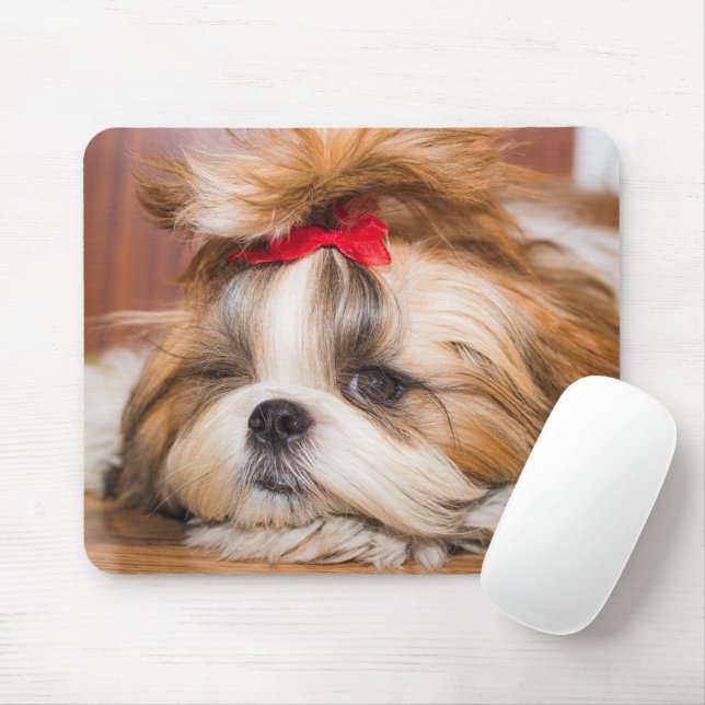 Mousepad Sua foto personalizada do cachorro de estimação (Com mouse)