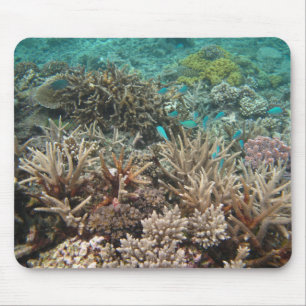 Mousepad Submarino