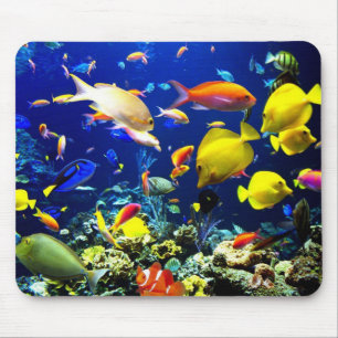 Mousepad Submarino 5