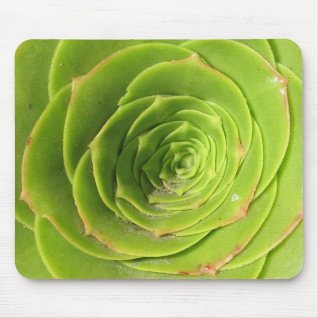 Mousepad Succulent (Frente)