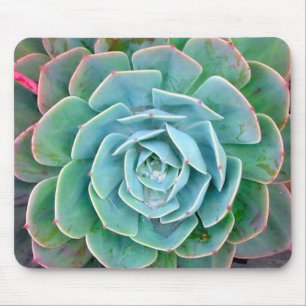 Mousepad Succulent
